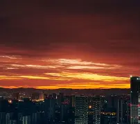 ld sports- 荷甲最新比分及积分榜 